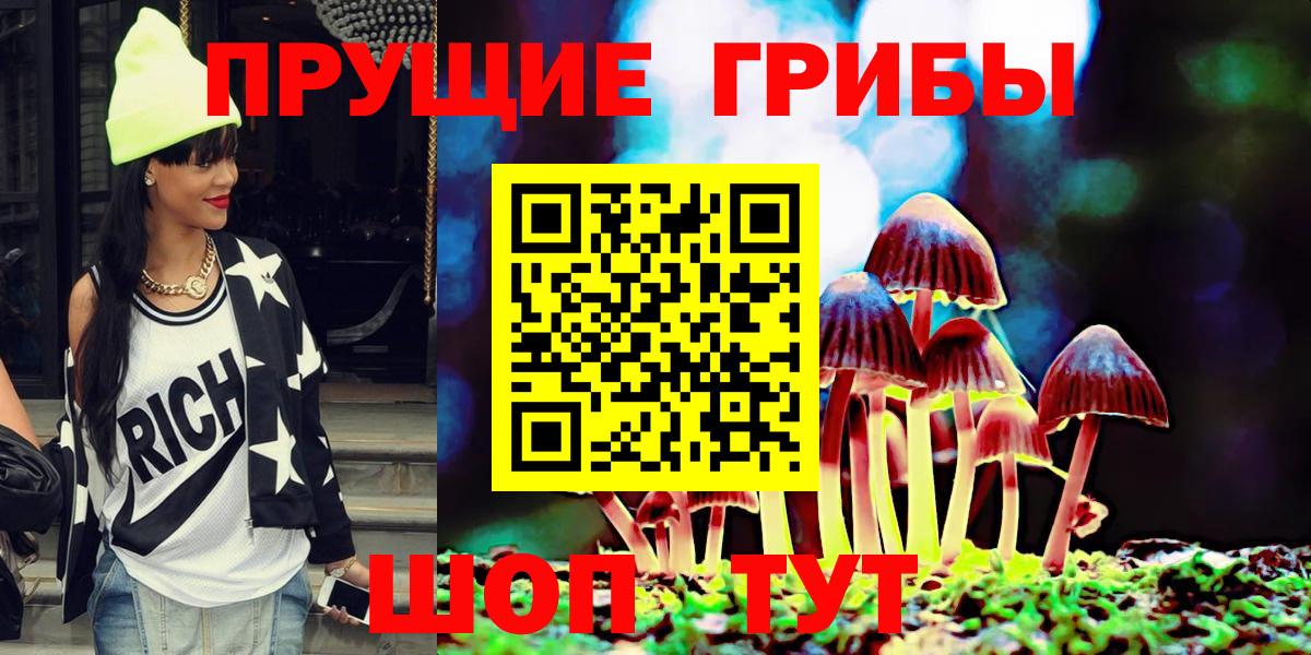 Псилоцибиновые грибы Cubensis Боровичи